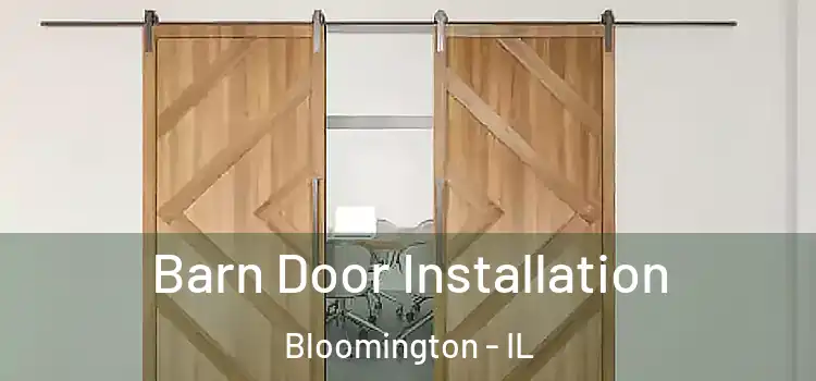  Barn Door Installation Bloomington - IL