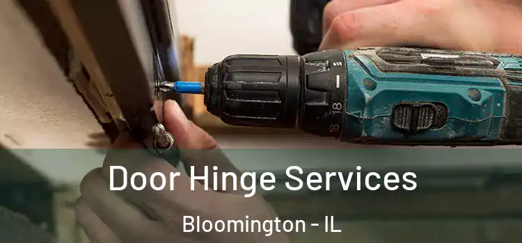  Door Hinge Services Bloomington - IL