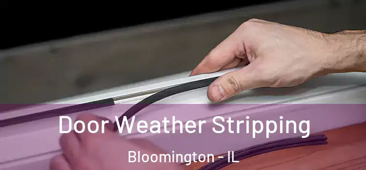  Door Weather Stripping Bloomington - IL