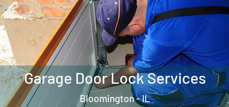 Garage Door Lock Services Bloomington - IL