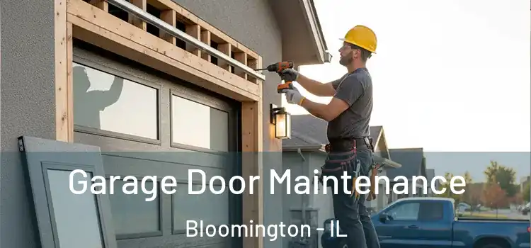 Garage Door Maintenance Bloomington - IL