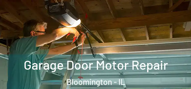  Garage Door Motor Repair Bloomington - IL