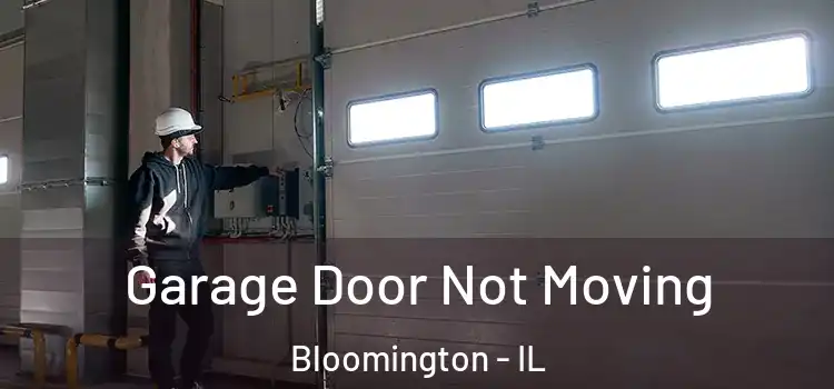  Garage Door Not Moving Bloomington - IL