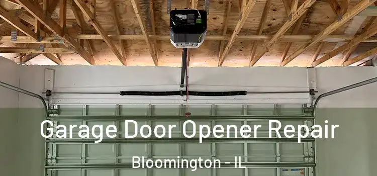  Garage Door Opener Repair Bloomington - IL