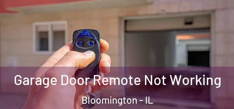  Garage Door Remote Not Working Bloomington - IL