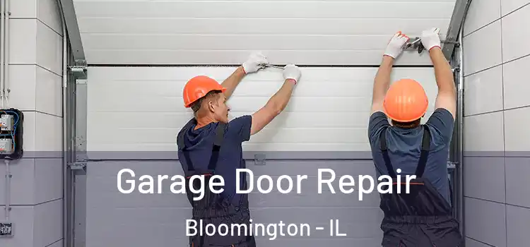  Garage Door Repair Bloomington - IL