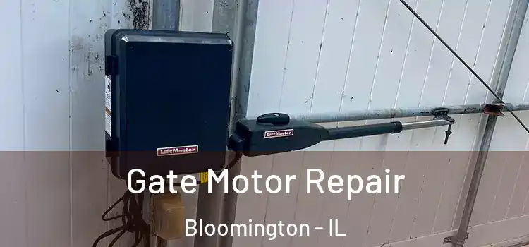  Gate Motor Repair Bloomington - IL