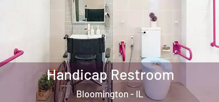 Handicap Restroom Bloomington - IL