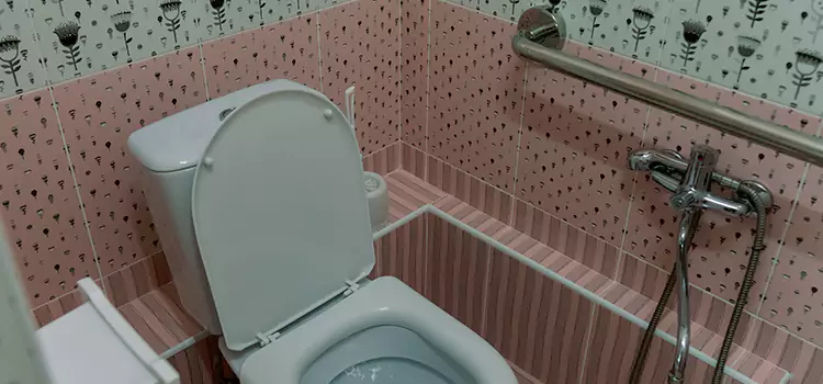 Meeting Diverse Needs With Accessible Restroom Solutions in Bloomington, IL