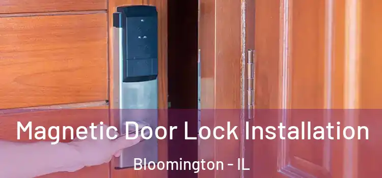  Magnetic Door Lock Installation Bloomington - IL