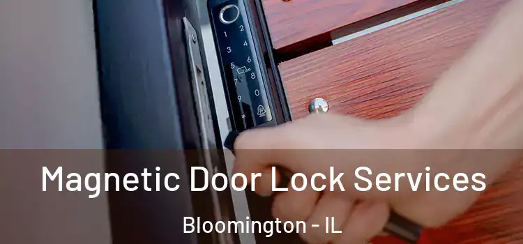  Magnetic Door Lock Services Bloomington - IL