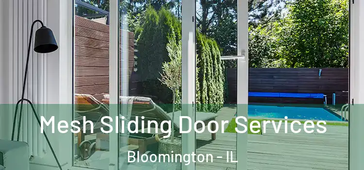 Mesh Sliding Door Services Bloomington - IL