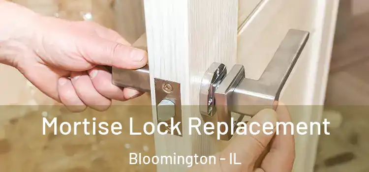 Mortise Lock Replacement Bloomington - IL