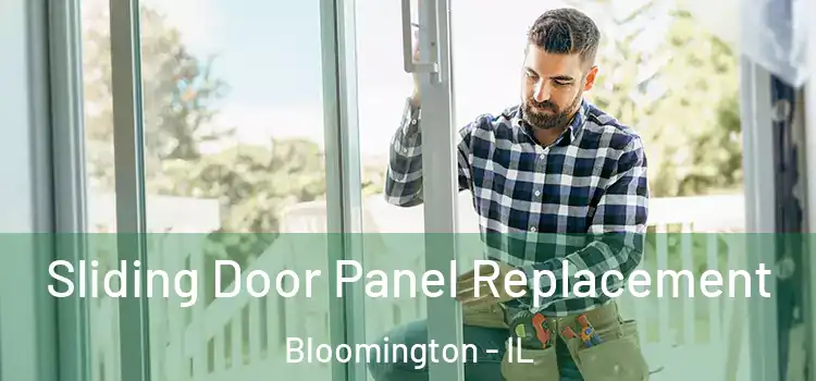  Sliding Door Panel Replacement Bloomington - IL