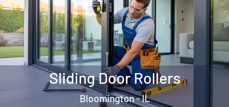 Sliding Door Rollers Bloomington - IL