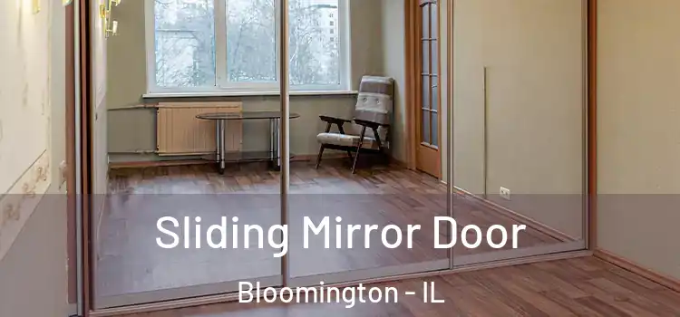  Sliding Mirror Door Bloomington - IL