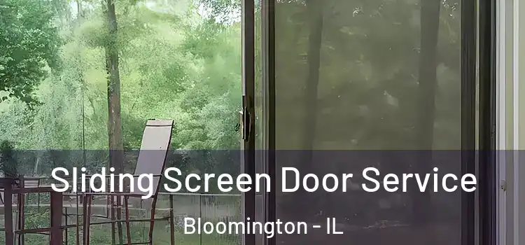 Sliding Screen Door Service Bloomington - IL