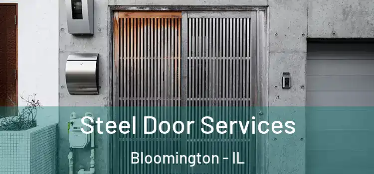 Steel Door Services Bloomington - IL
