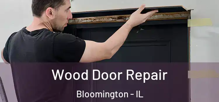  Wood Door Repair Bloomington - IL