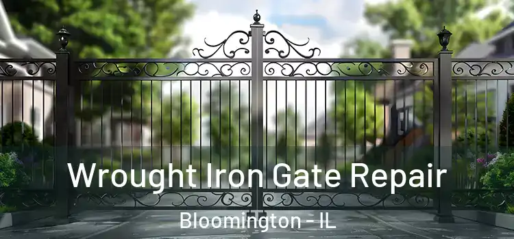  Wrought Iron Gate Repair Bloomington - IL